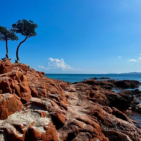 2-4 Pers Vue Proche Port Appartement *