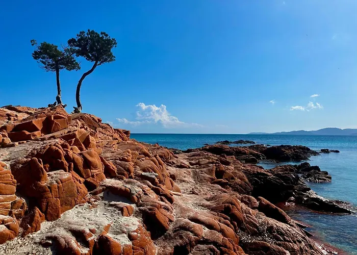 2-4 Pers Vue Proche Port Apartamento *